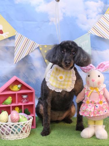 20240316ねねちゃん